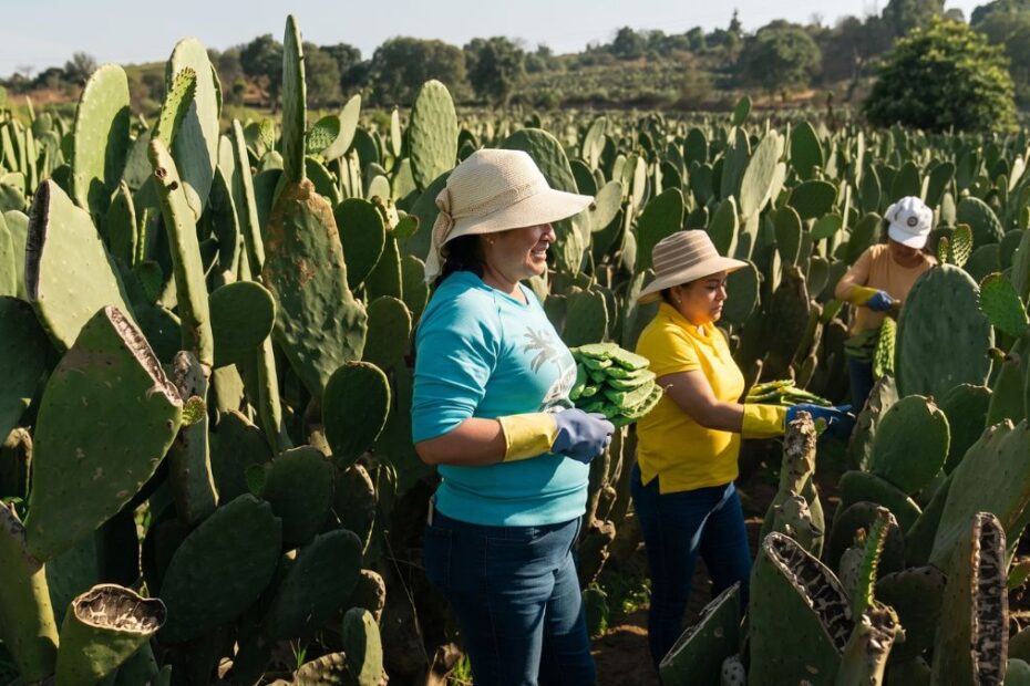 Reportage Arte Nopal