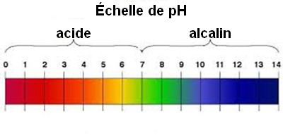 Echelle de pH