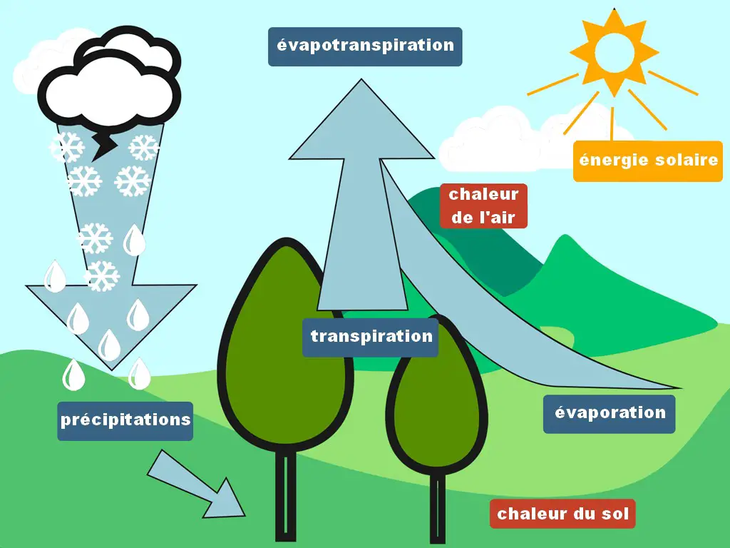 Evapotranspiration définition