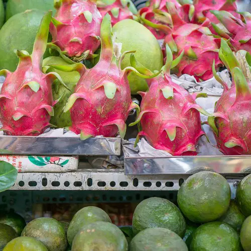 Magasin vente de pitaya