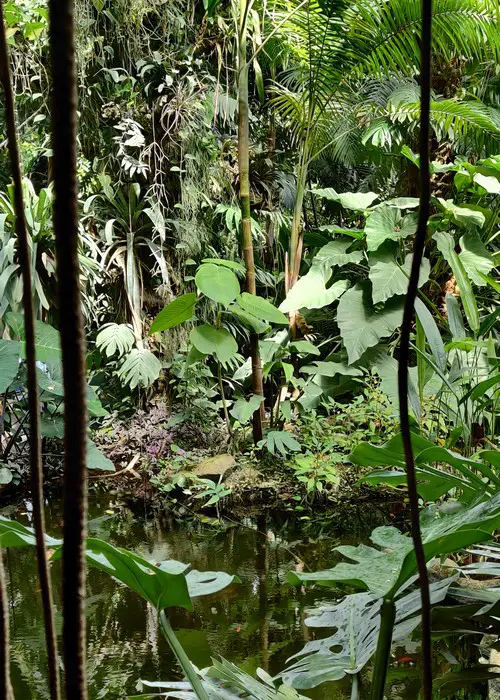 Serre tropicale Paris