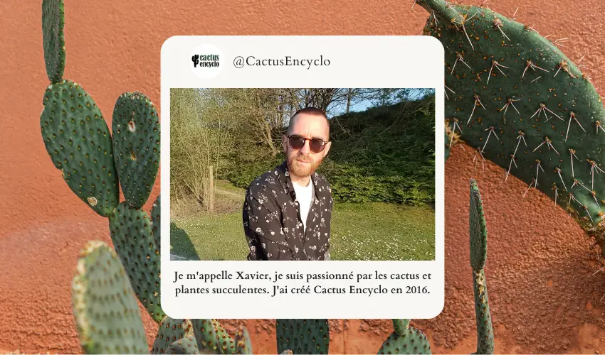 A propos Cactus Encyclo